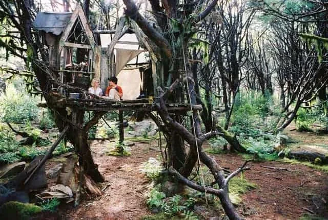 Brücke nach Terabithia Screenshot 1