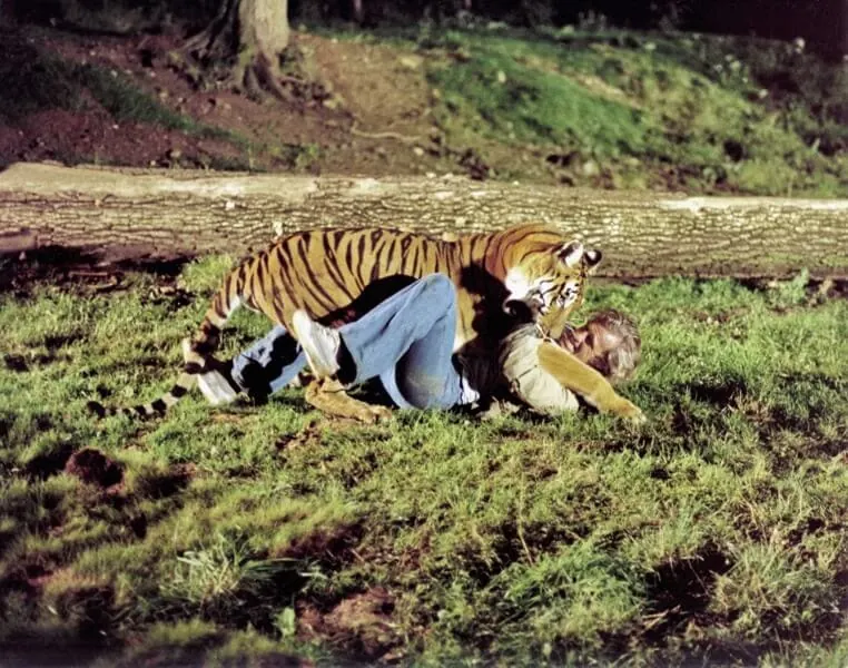 best of jean-paul belmondo edition: "ein irrer typ" belmondo mit einem tiger