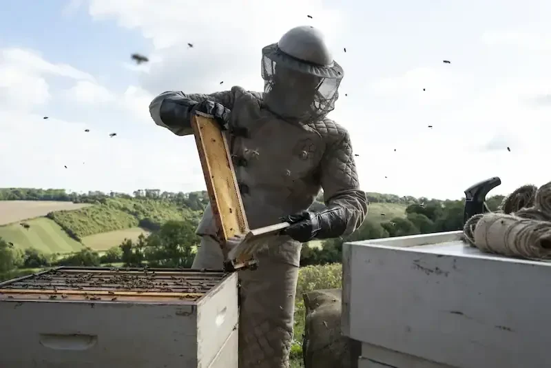 Jason Statham als der BeeKeeer vor seinem Bienenstock