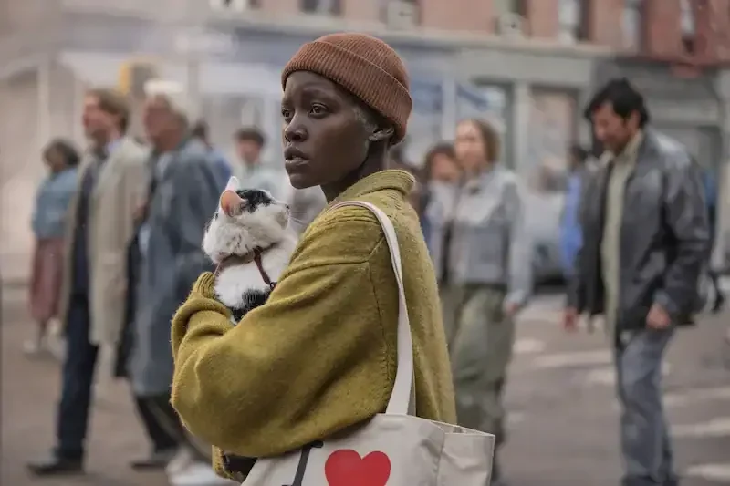 a quiet place tag eins samira mit katze frodo