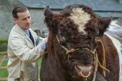 Der Doktor und das liebe Vieh Staffel 1 Szene: Mann untersucht großen Stier auf einem Hof.