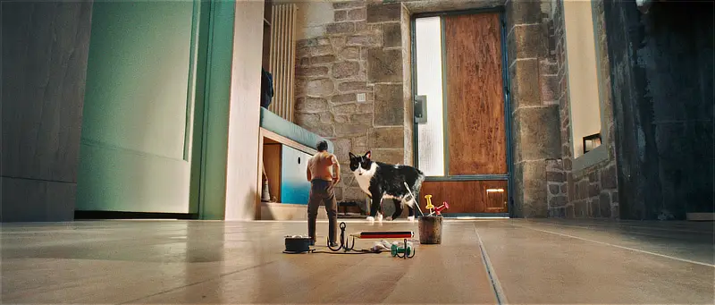 Ein winzig kleiner Mann (Jean Dujardin) vor einer schwarz-weißen Hauskatze in einem Flur - Filmszene - Der Mann der immer kleiner wurde