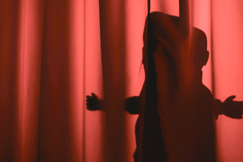 Ein roter Vorhang mit einer Puppensilhouette - The Rule of Jenny Pen